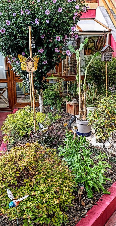 Un Moment De Douceur Bed & Breakfast Nancy Exterior photo